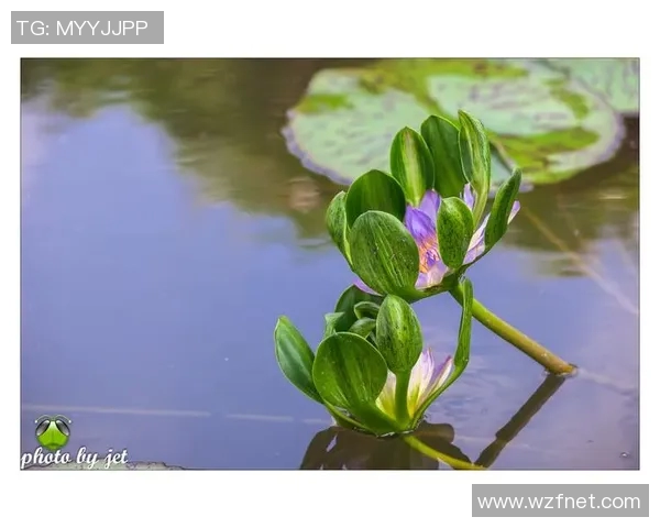 盛夏时节邂逅足球明星的奇妙旅程与难忘瞬间 盛夏时节邂逅足球明星的奇妙旅程与难忘瞬间